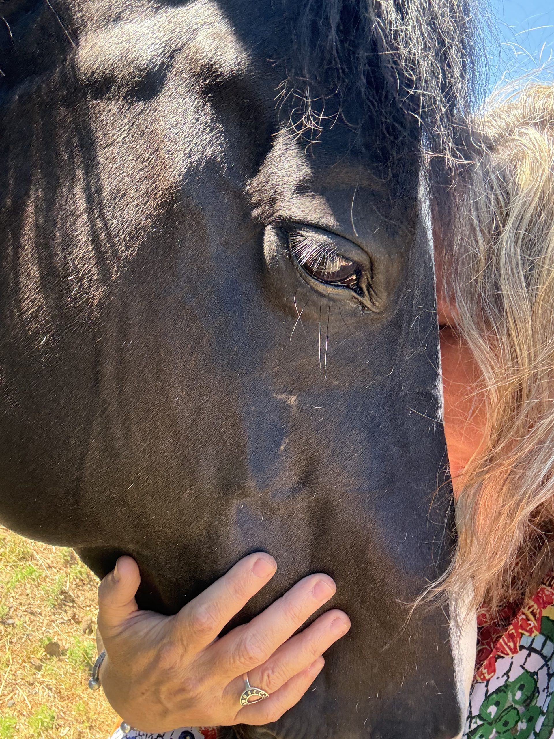 Equine-Partnered Reiki Session