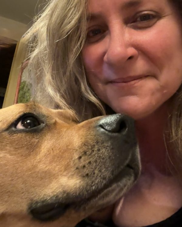 Single Session Animal Reiki