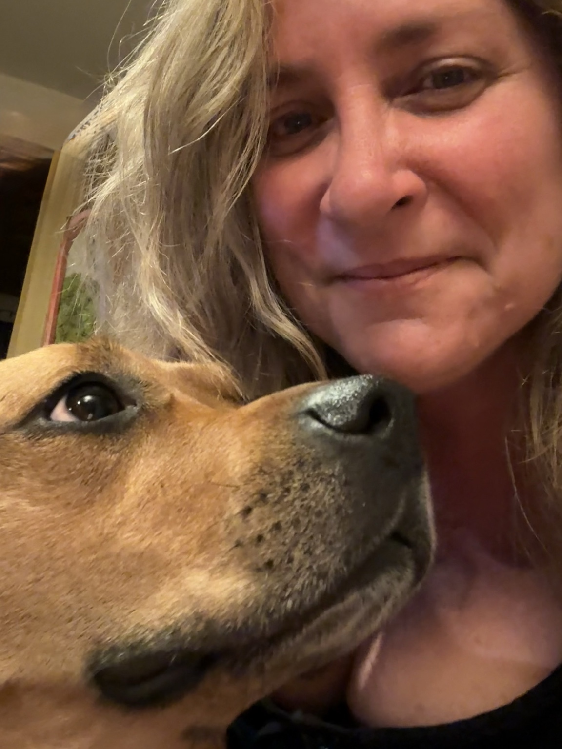 Animal Reiki